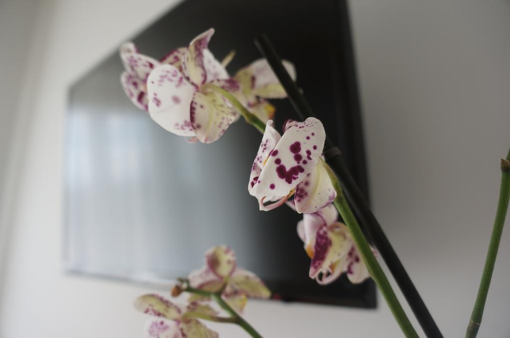 クロトーネ Lullymia Bed & Breakfast エクステリア 写真